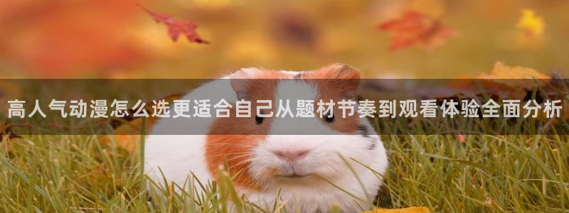 omofun动漫在线观看：高人气动漫怎么选更适合自己从题材节奏到观看体验全面分析配图