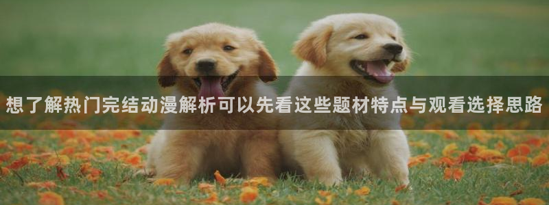 omofun官网在线观看：想了解热门完结动漫解析可以先看这些题材特点与观看选择思路配图