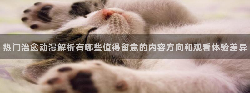 omofun网页版在线观看：热门治愈动漫解析有哪些值得留意的内容方向和观看体验差异配图