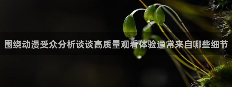omofun在线观看：围绕动漫受众分析谈谈高质量观看体验通常来自哪些细节配图