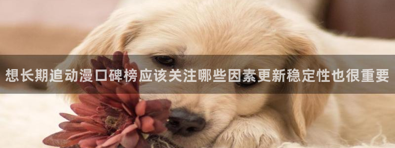 omofun动漫大全:想长期追动漫口碑榜应该关注哪些因素更新稳定性也很重要配图