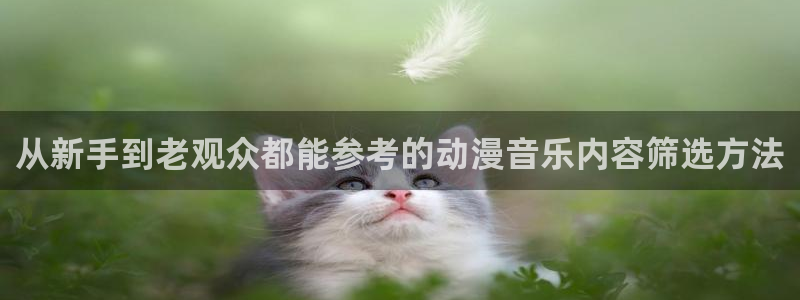 omofun日本动漫推荐:从新手到老观众都能参考的动漫音乐内容筛选方法配图